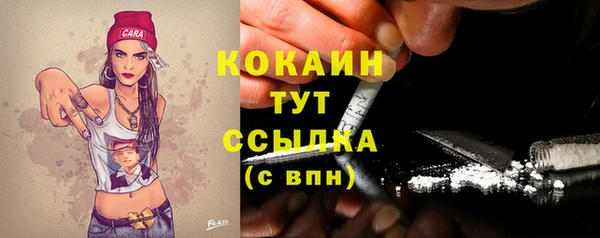 соль курить ск Алзамай