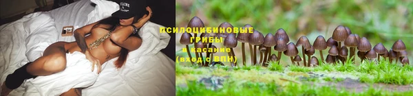 мескалин Алексеевка
