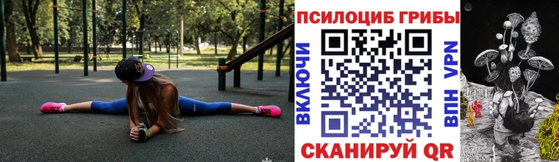 Галлюциногенные грибы мицелий  ОМГ ОМГ как зайти  Владивосток 